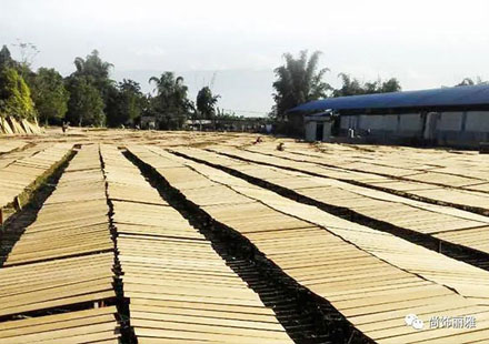 奥德赛\艾力绅全新改装规划隆重颁布