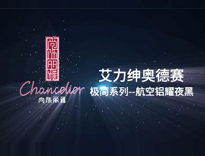 艾力绅-奥德赛航空铝耀夜黑(不锈钢)