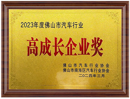 高成长企业奖